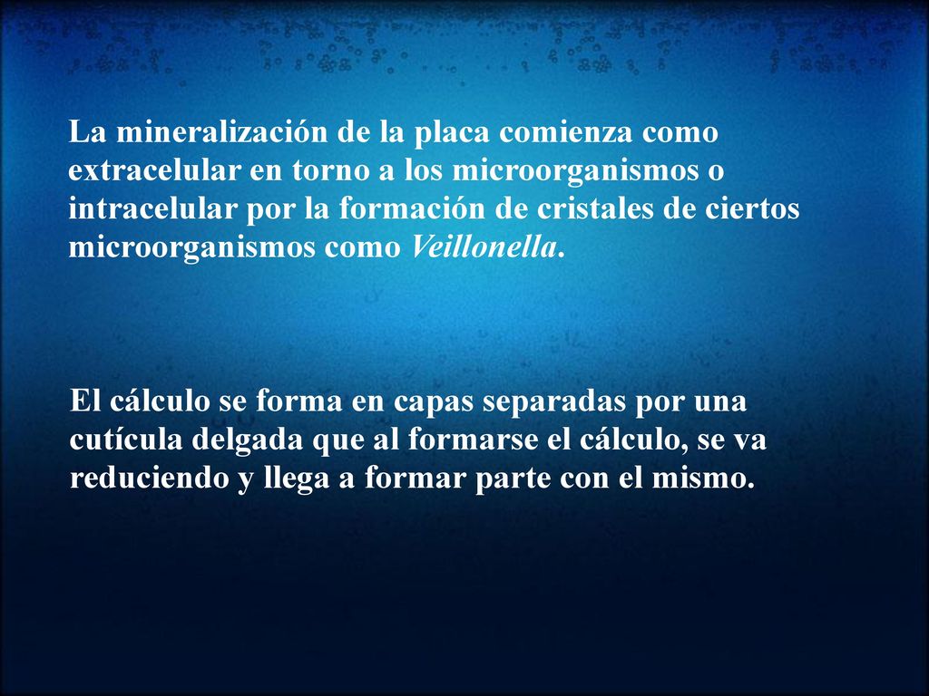 La mineralización de la placa comienza como extracelular en torno a los microorganismos o intracelular por la formación de cristales de ciertos microorganismos como Veillonella.