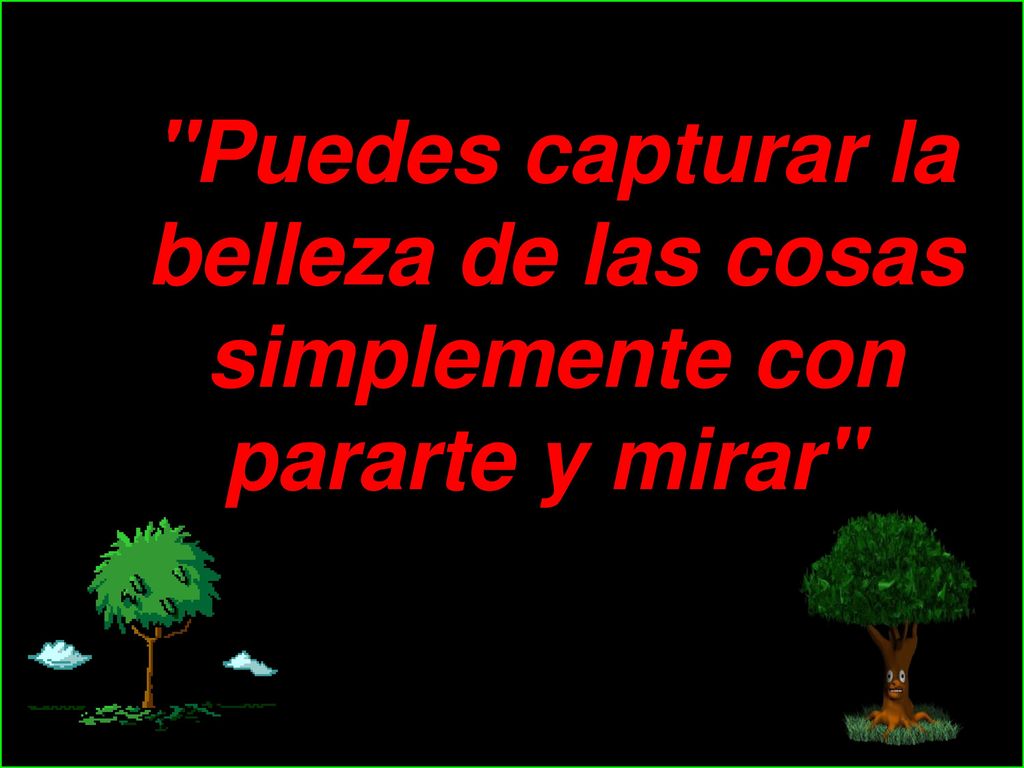 Puedes capturar la belleza de las cosas simplemente con pararte y mirar