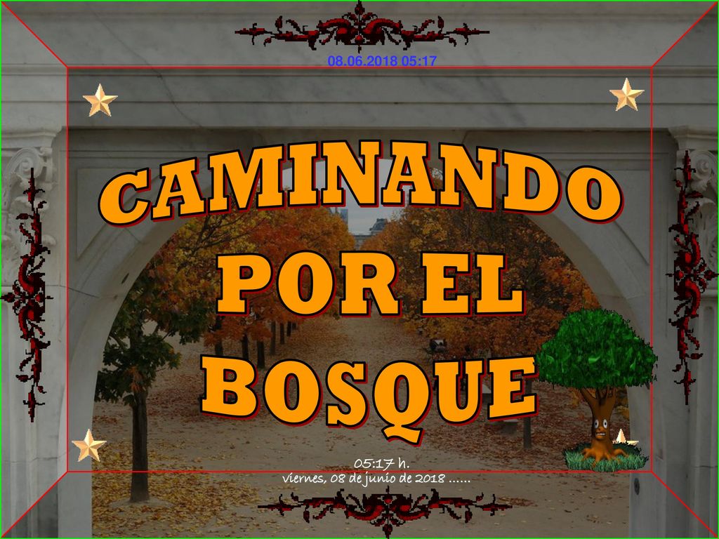CAMINANDO POR EL BOSQUE viernes, 08 de junio de 2018 …… 05:17 h.