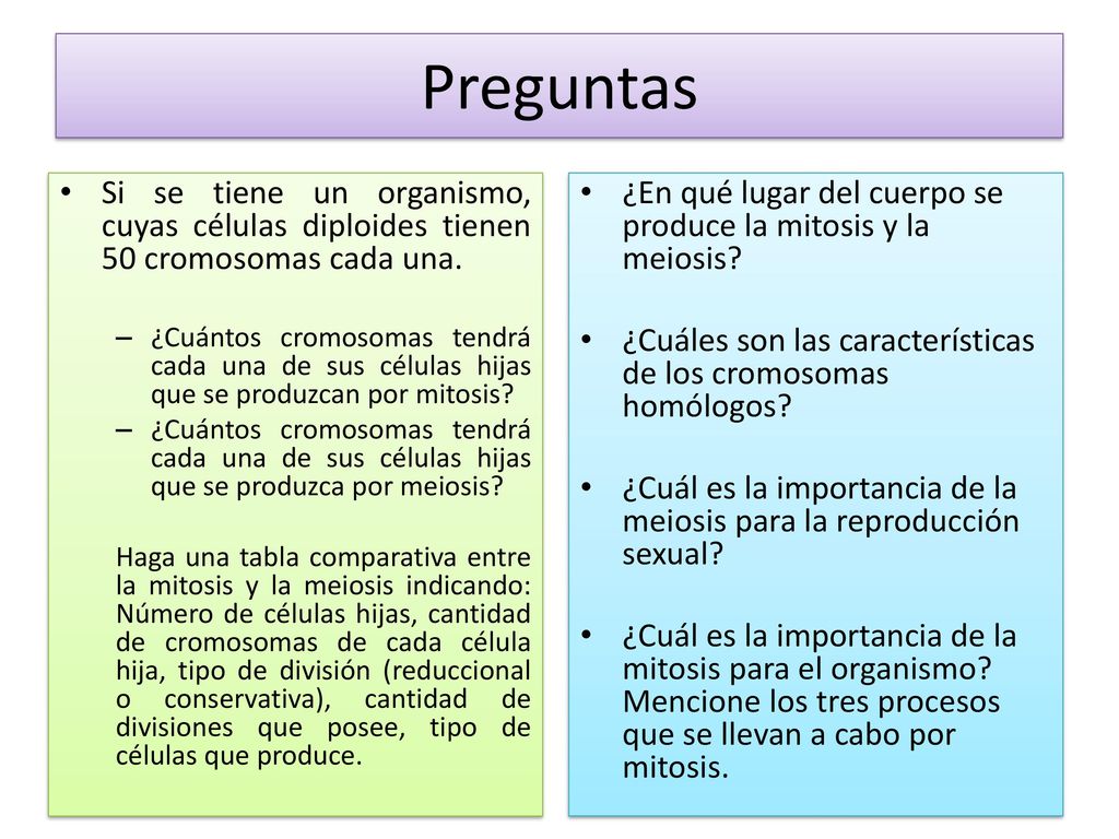 Preguntas Si se tiene un organismo, cuyas células diploides tienen 50 cromosomas cada una.