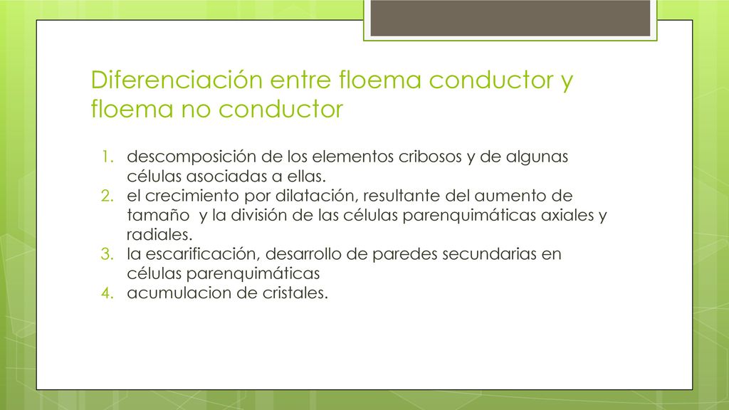 Diferenciación entre floema conductor y floema no conductor