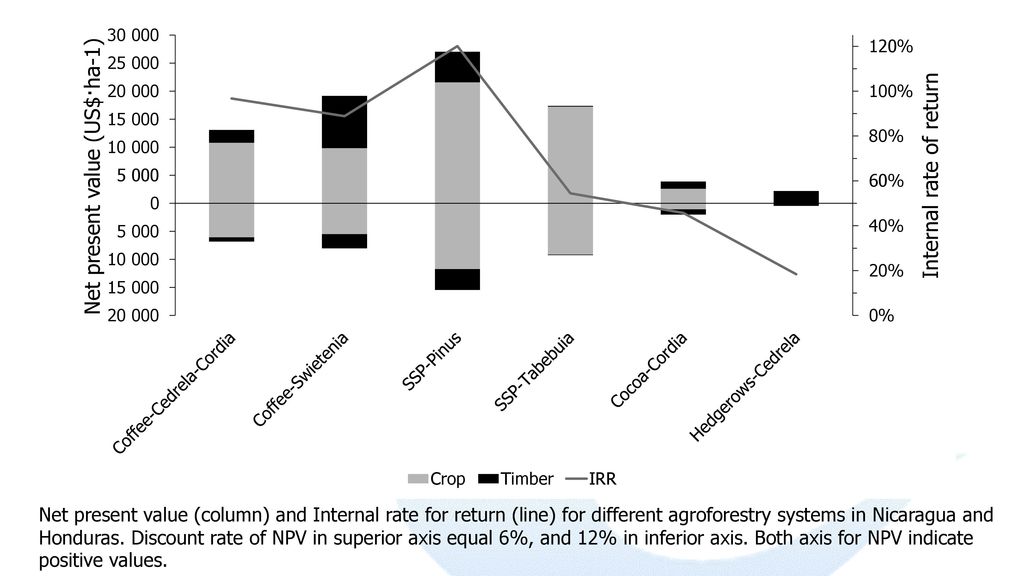 Net present value (column) and Internal rate for return (line) for different agroforestry systems in Nicaragua and Honduras.