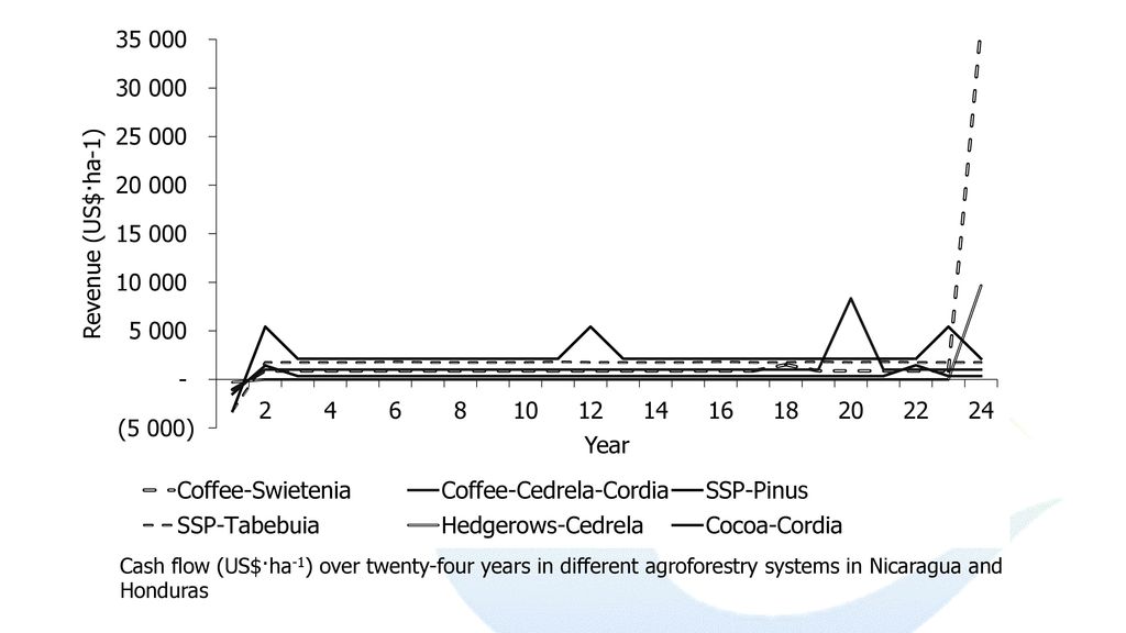 Cash flow (US$·ha-1) over twenty-four years in different agroforestry systems in Nicaragua and Honduras