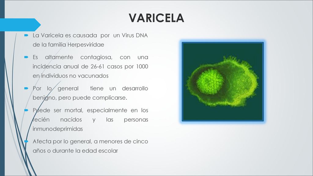 VARICELA La Varicela es causada por un Virus DNA de la familia Herpesviridae.