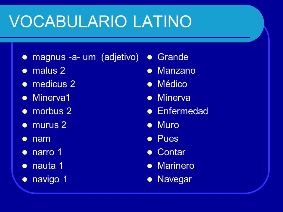 VOCABULARIO LATINO magnus -a- um (adjetivo) malus 2 medicus 2 Minerva1