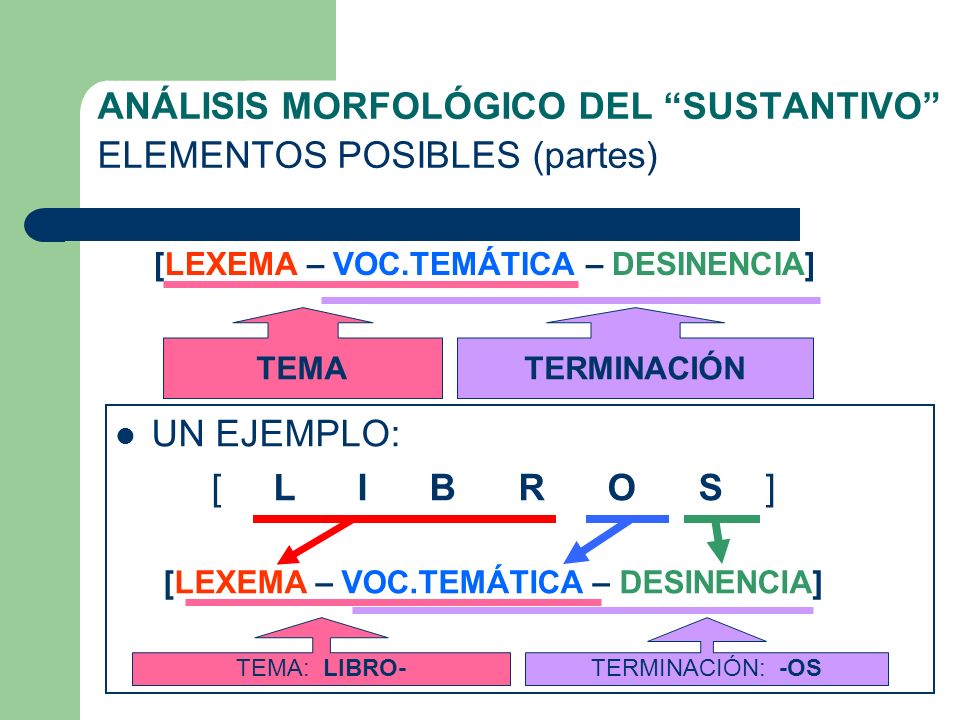 ANÁLISIS MORFOLÓGICO DEL SUSTANTIVO ELEMENTOS POSIBLES (partes)
