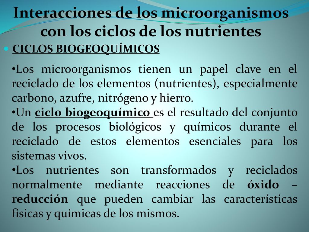 Interacciones de los microorganismos con los ciclos de los nutrientes