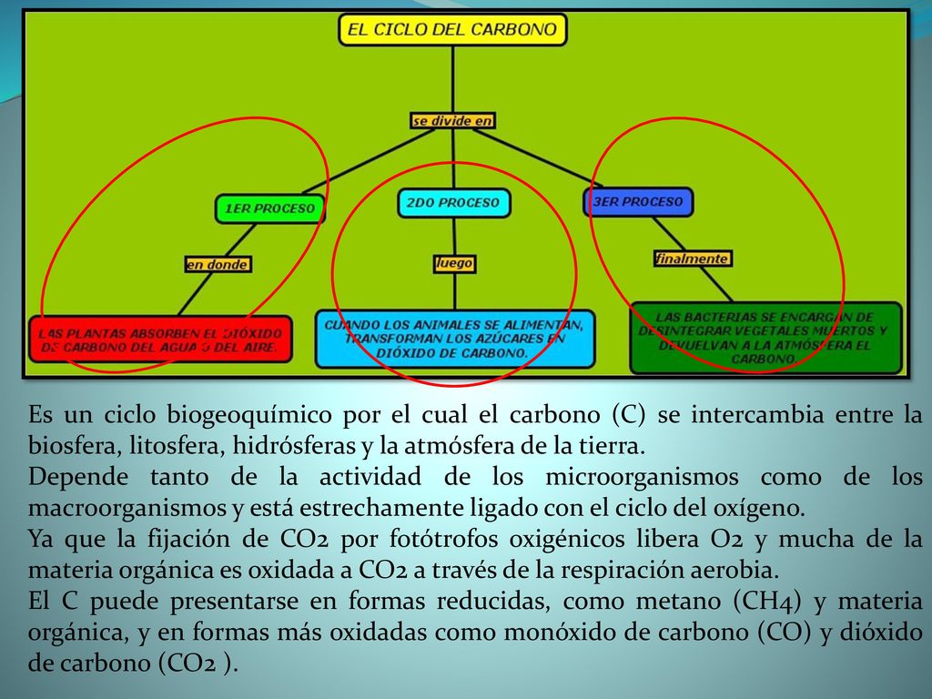 Es un ciclo biogeoquímico por el cual el carbono (C) se intercambia entre la biosfera, litosfera, hidrósferas y la atmósfera de la tierra.