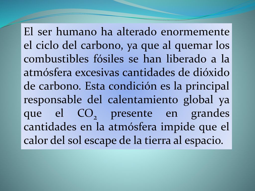 El ser humano ha alterado enormemente el ciclo del carbono, ya que al quemar los combustibles fósiles se han liberado a la atmósfera excesivas cantidades de dióxido de carbono.