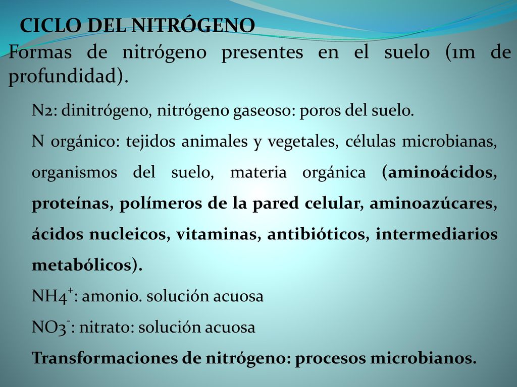 Formas de nitrógeno presentes en el suelo (1m de profundidad).