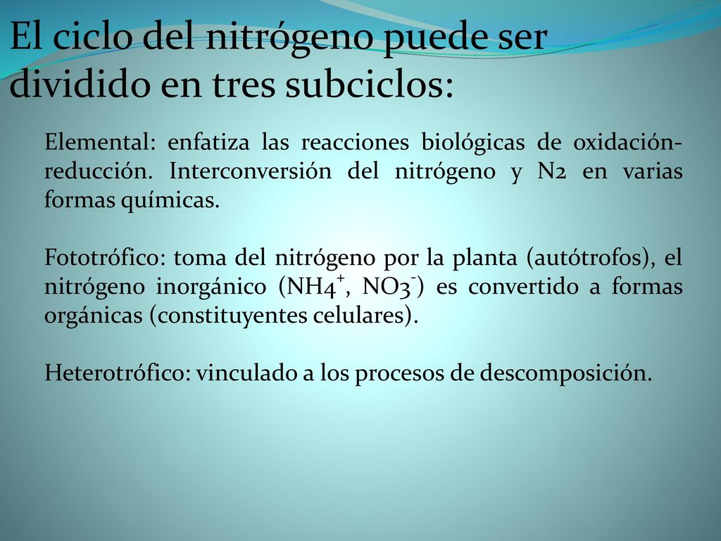 El ciclo del nitrógeno puede ser dividido en tres subciclos: