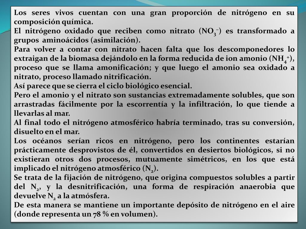 Los seres vivos cuentan con una gran proporción de nitrógeno en su composición química.