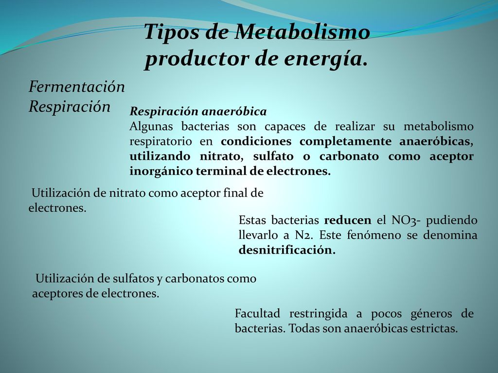 Tipos de Metabolismo productor de energía.
