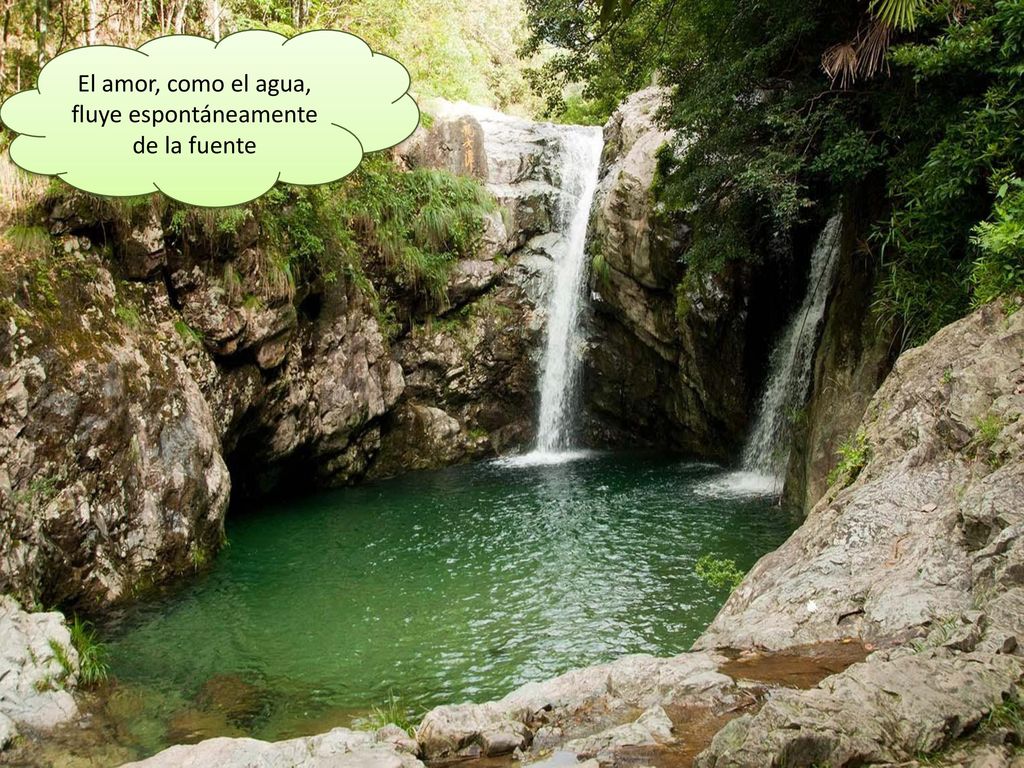 El amor, como el agua, fluye espontáneamente de la fuente