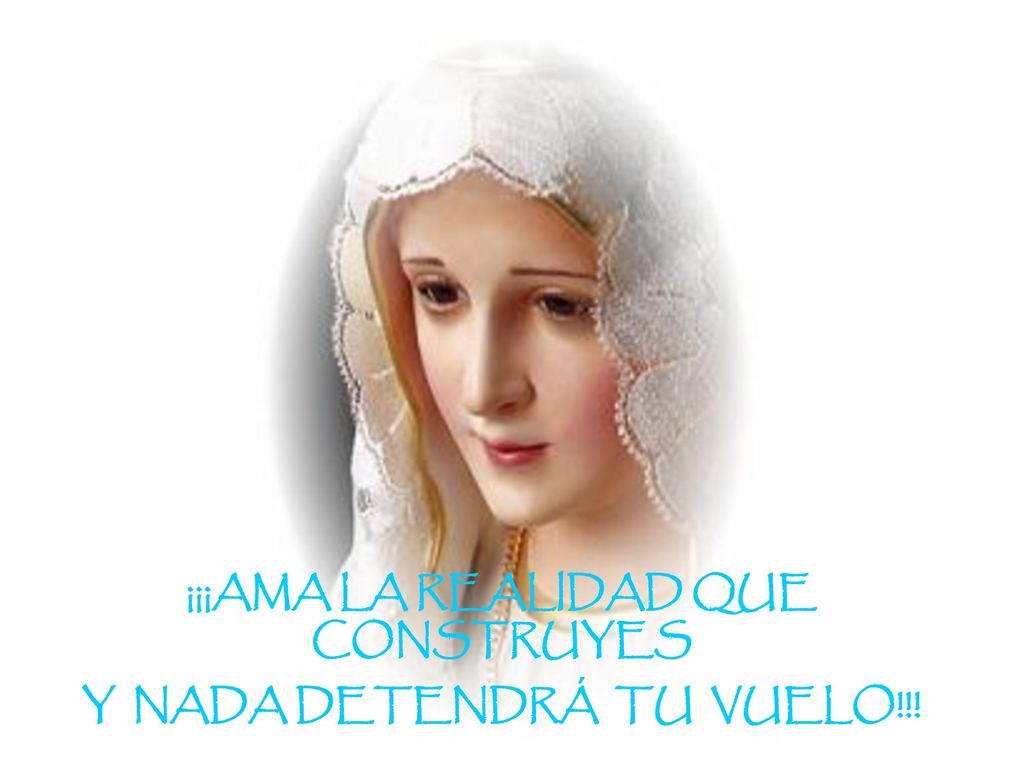 ¡¡¡AMA LA REALIDAD QUE CONSTRUYES Y NADA DETENDRÁ TU VUELO!!!