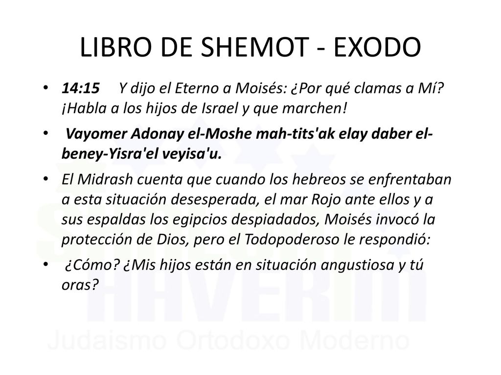 LIBRO DE SHEMOT - EXODO 14:15 Y dijo el Eterno a Moisés: ¿Por qué clamas a Mí ¡Habla a los hijos de Israel y que marchen!