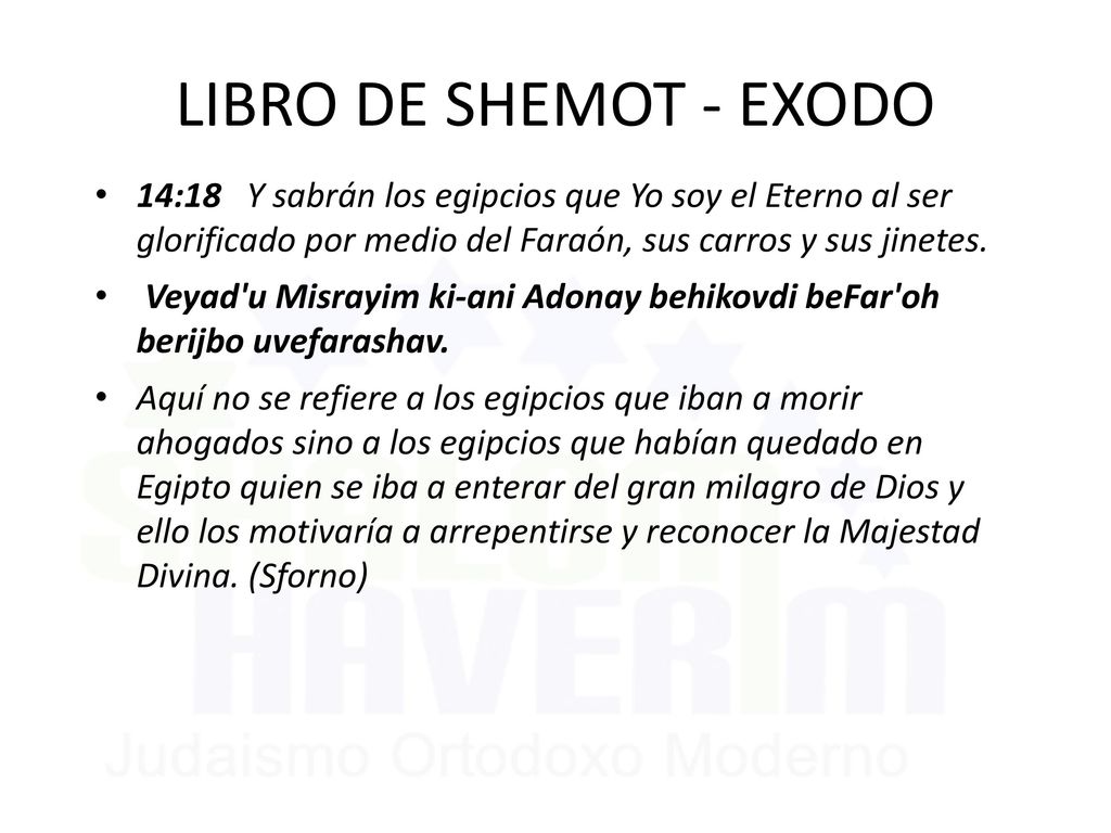 LIBRO DE SHEMOT - EXODO 14:18 Y sabrán los egipcios que Yo soy el Eterno al ser glorificado por medio del Faraón, sus carros y sus jinetes.