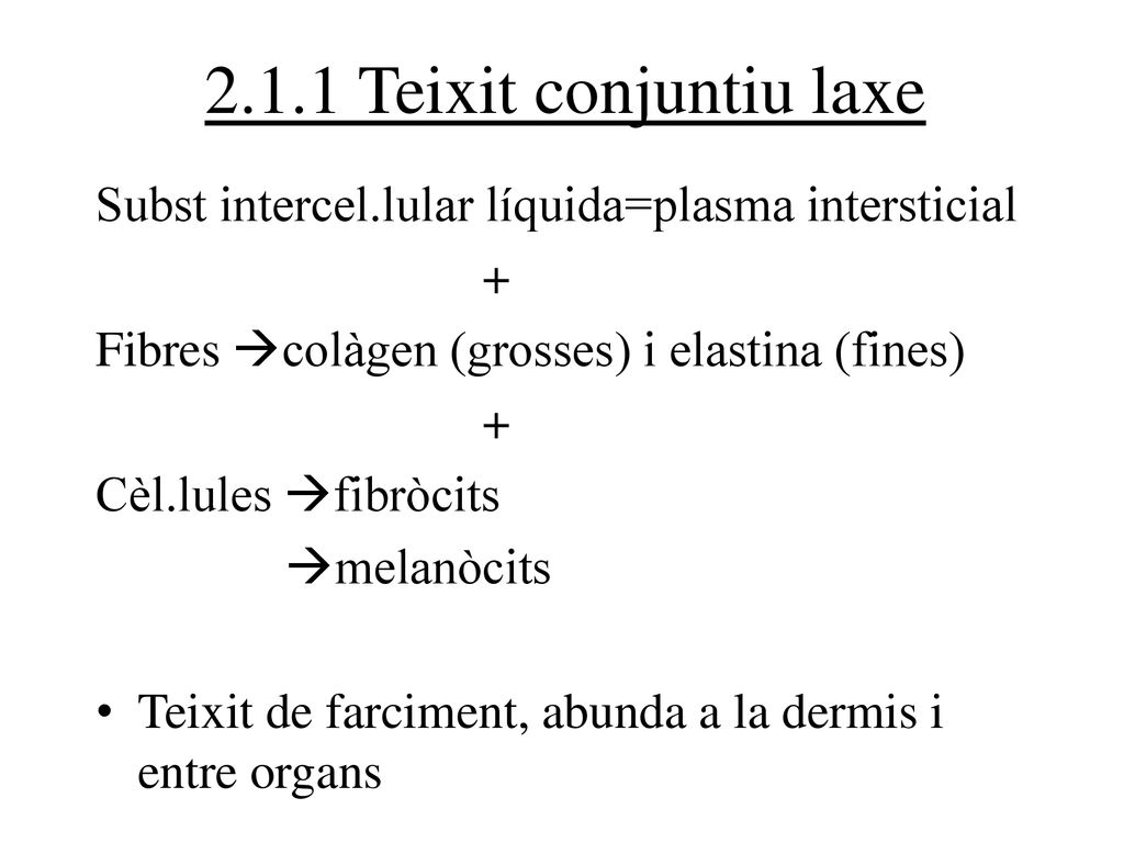 2.1.1 Teixit conjuntiu laxe Subst intercel.lular líquida=plasma intersticial. + Fibres colàgen (grosses) i elastina (fines)
