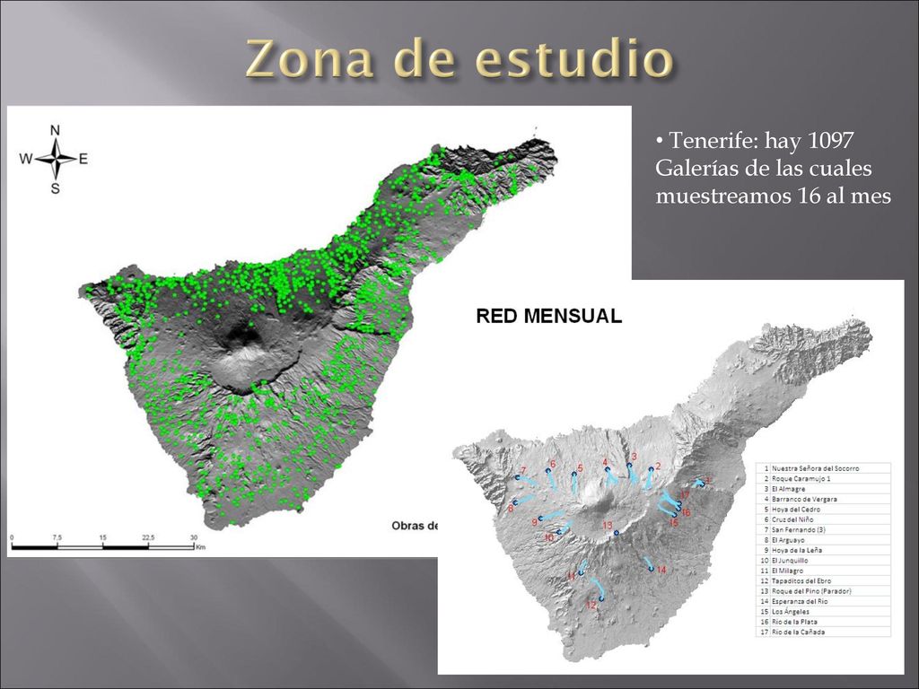 Zona de estudio Tenerife: hay 1097 Galerías de las cuales muestreamos 16 al mes