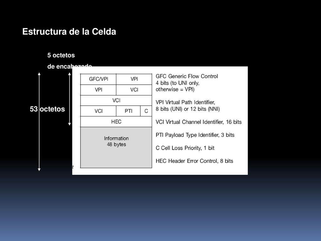 Estructura de la Celda 5 octetos de encabezado 53 octetos