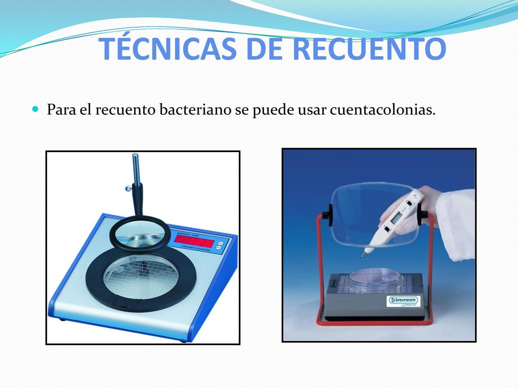 TÉCNICAS DE RECUENTO Para el recuento bacteriano se puede usar cuentacolonias.