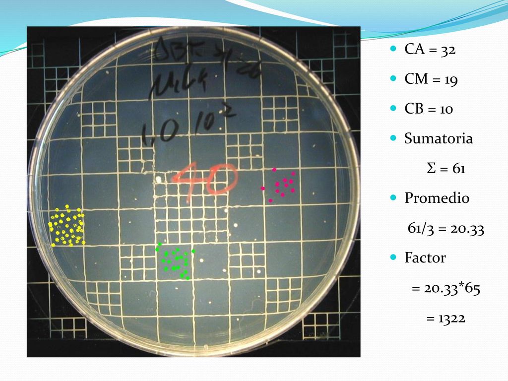 CA = 32 CM = 19 CB = 10 Sumatoria Σ = 61 Promedio 61/3 = Factor = 20.33*65 = 1322