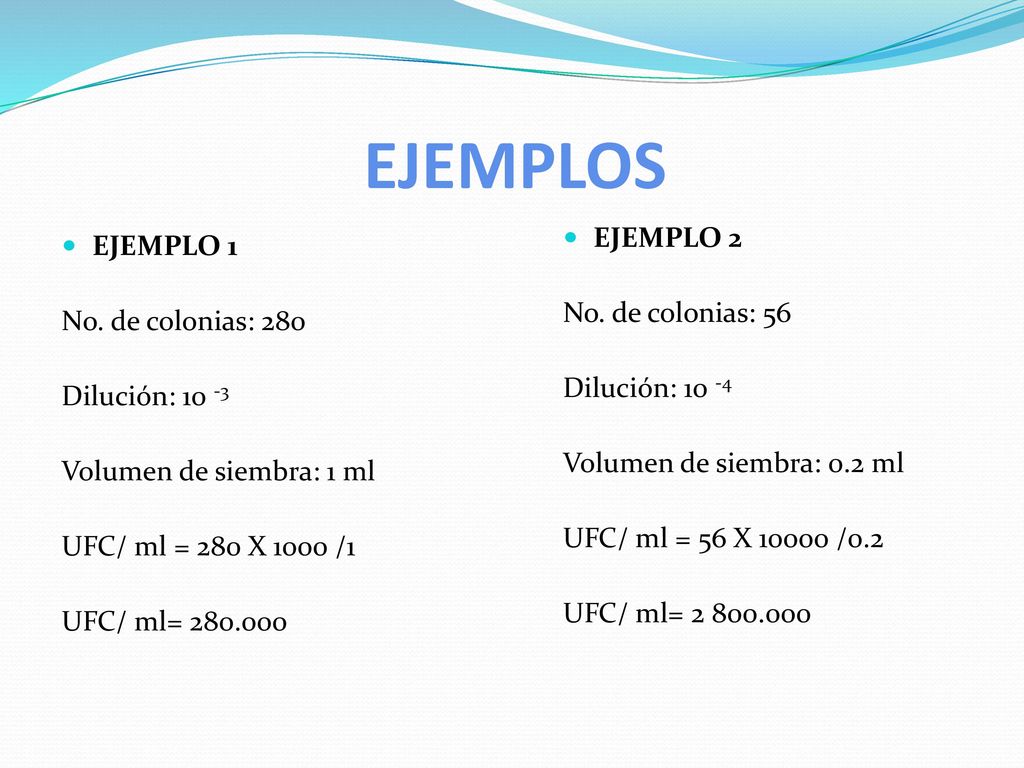 EJEMPLOS EJEMPLO 2 EJEMPLO 1 No. de colonias: 56 No. de colonias: 280