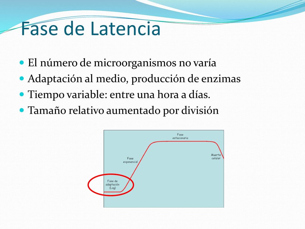 Fase de Latencia El número de microorganismos no varía