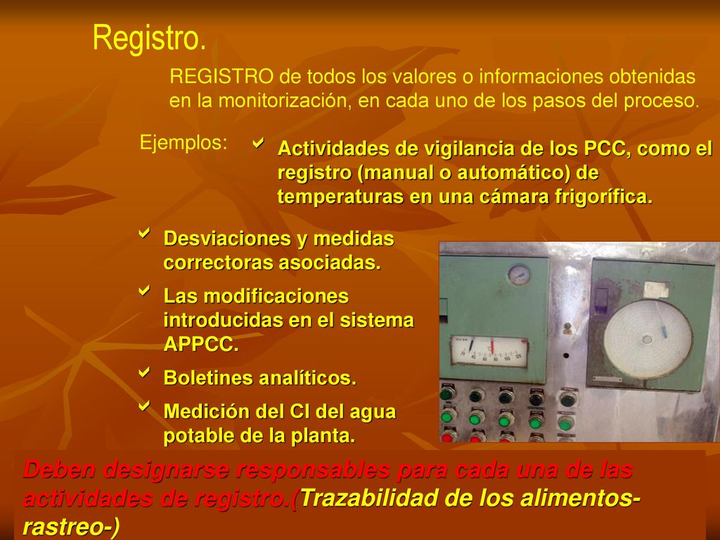 Registro. REGISTRO de todos los valores o informaciones obtenidas en la monitorización, en cada uno de los pasos del proceso.