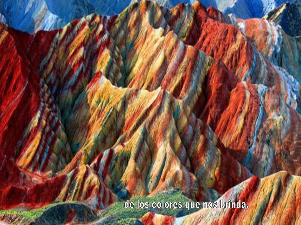 de los colores que nos brinda,