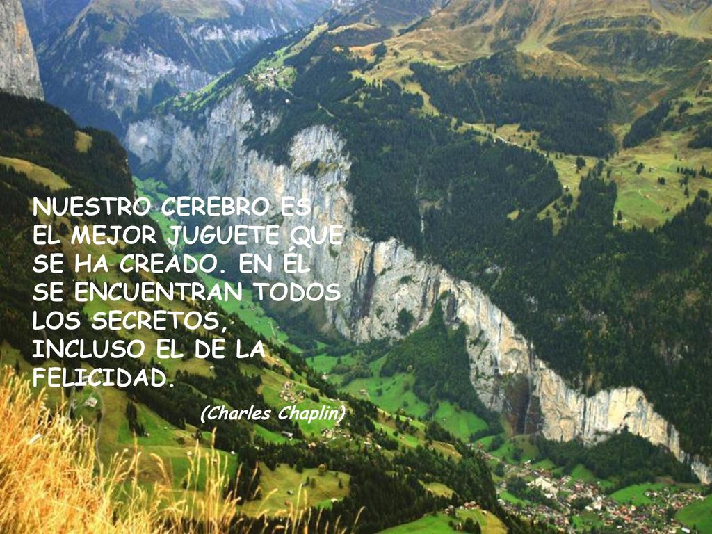 NUESTRO CEREBRO ES EL MEJOR JUGUETE QUE SE HA CREADO
