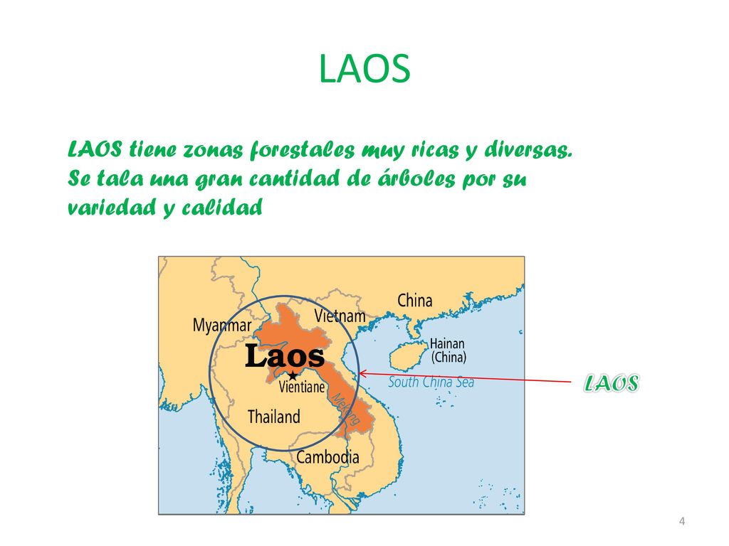 LAOS LAOS tiene zonas forestales muy ricas y diversas. Se tala una gran cantidad de árboles por su variedad y calidad.
