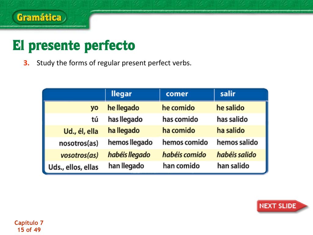 3. Study the forms of regular present perfect verbs.