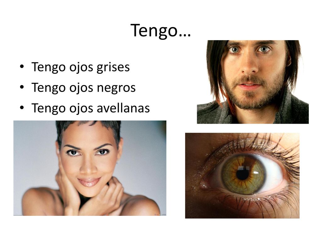 Tengo… Tengo ojos grises Tengo ojos negros Tengo ojos avellanas