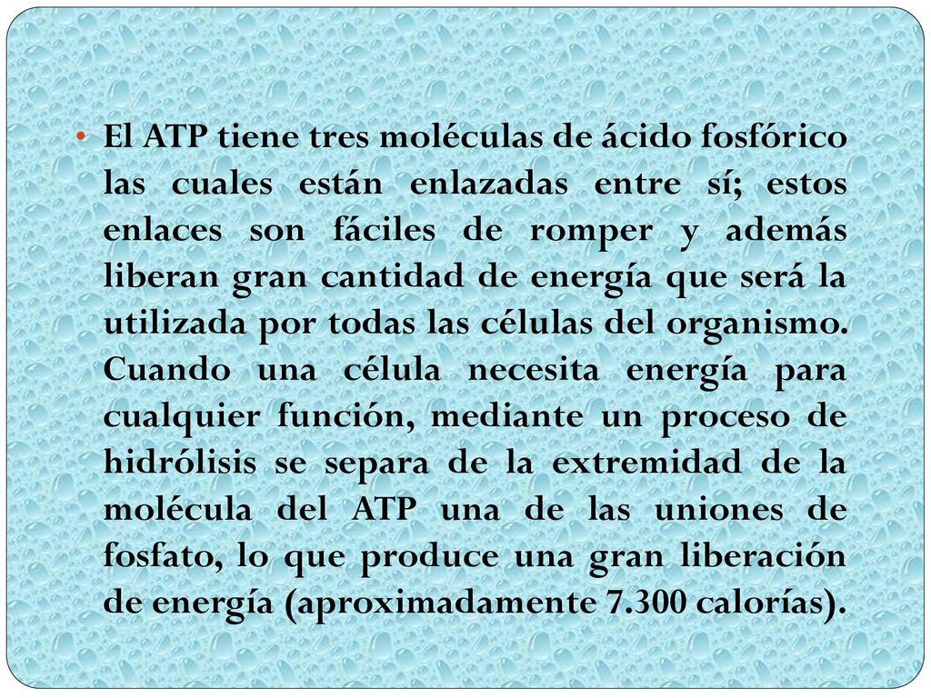 El ATP tiene tres moléculas de ácido fosfórico las cuales están enlazadas entre sí; estos enlaces son fáciles de romper y además liberan gran cantidad de energía que será la utilizada por todas las células del organismo.