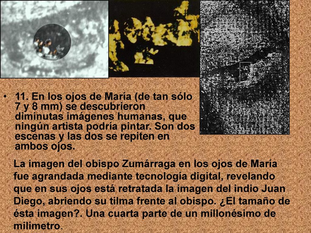 11. En los ojos de María (de tan sólo 7 y 8 mm) se descubrieron diminutas imágenes humanas, que ningún artista podría pintar. Son dos escenas y las dos se repiten en ambos ojos.