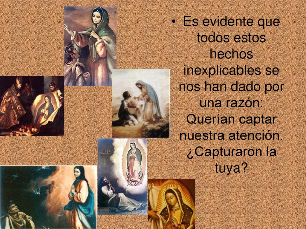 Es evidente que todos estos hechos inexplicables se nos han dado por una razón: Querían captar nuestra atención.