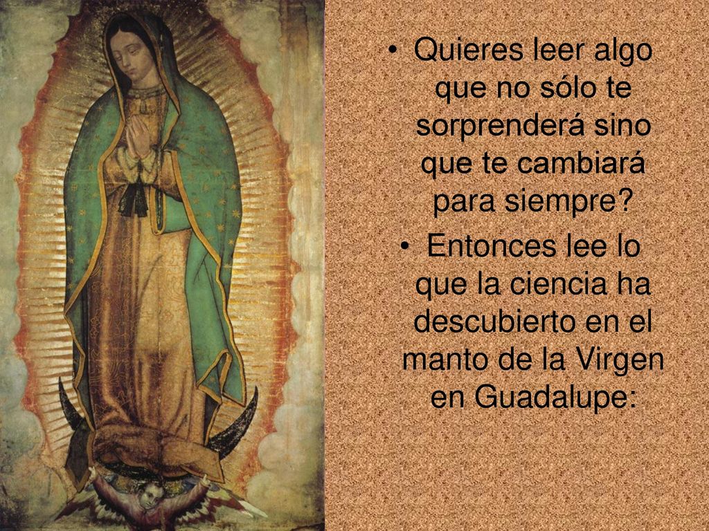 Quieres leer algo que no sólo te sorprenderá sino que te cambiará para siempre