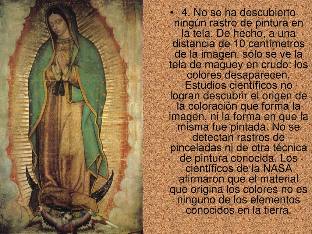 4. No se ha descubierto ningún rastro de pintura en la tela