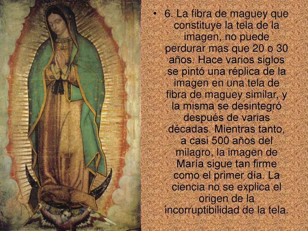 6. La fibra de maguey que constituye la tela de la imagen, no puede perdurar mas que 20 o 30 años.