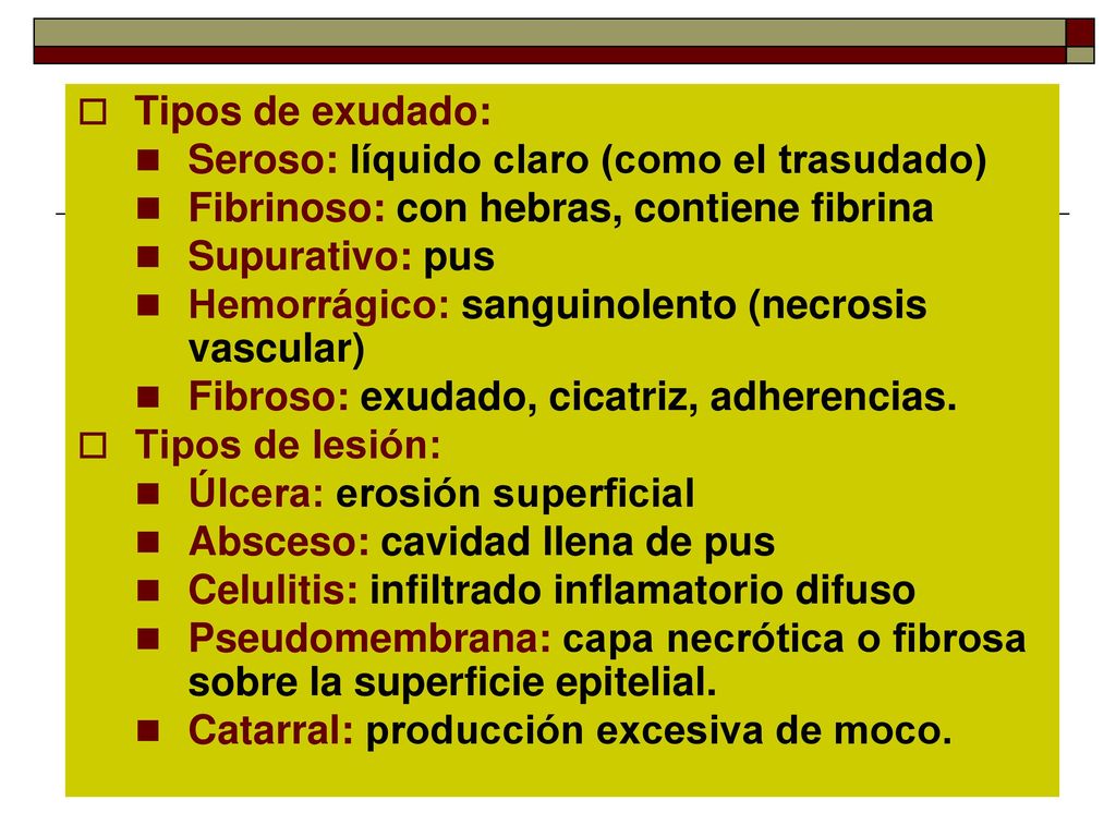 Tipos de exudado: Seroso: líquido claro (como el trasudado) Fibrinoso: con hebras, contiene fibrina.