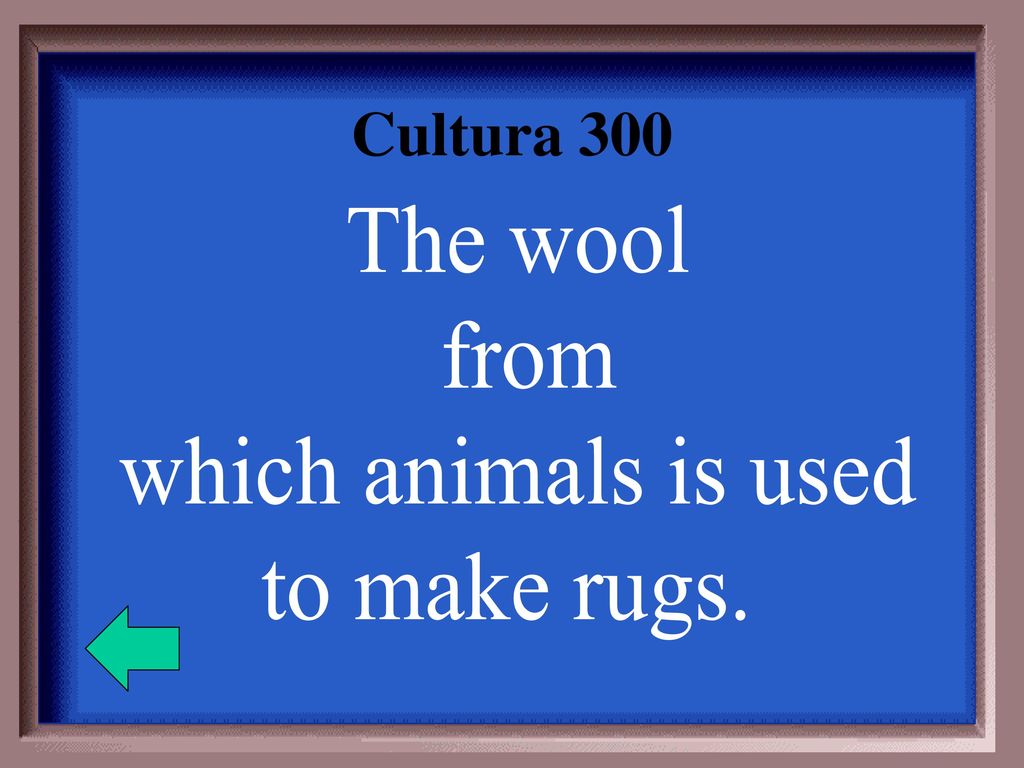 Cultura 300 The wool from which animals is used to make rugs.