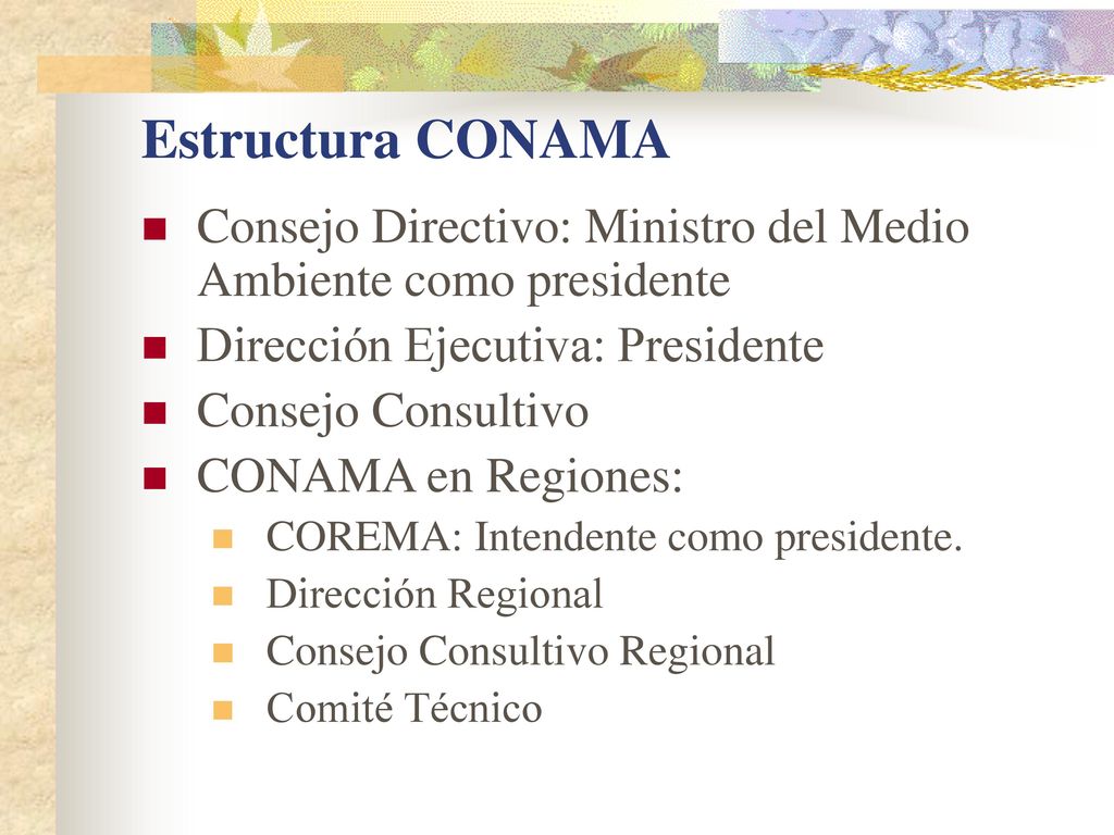 Estructura CONAMA Consejo Directivo: Ministro del Medio Ambiente como presidente. Dirección Ejecutiva: Presidente.