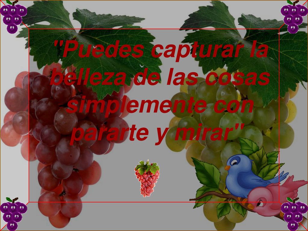 Puedes capturar la belleza de las cosas simplemente con pararte y mirar