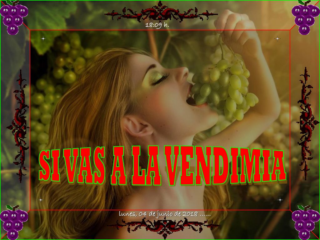 18:09 h. SI VAS A LA VENDIMIA lunes, 04 de junio de 2018 …… 3