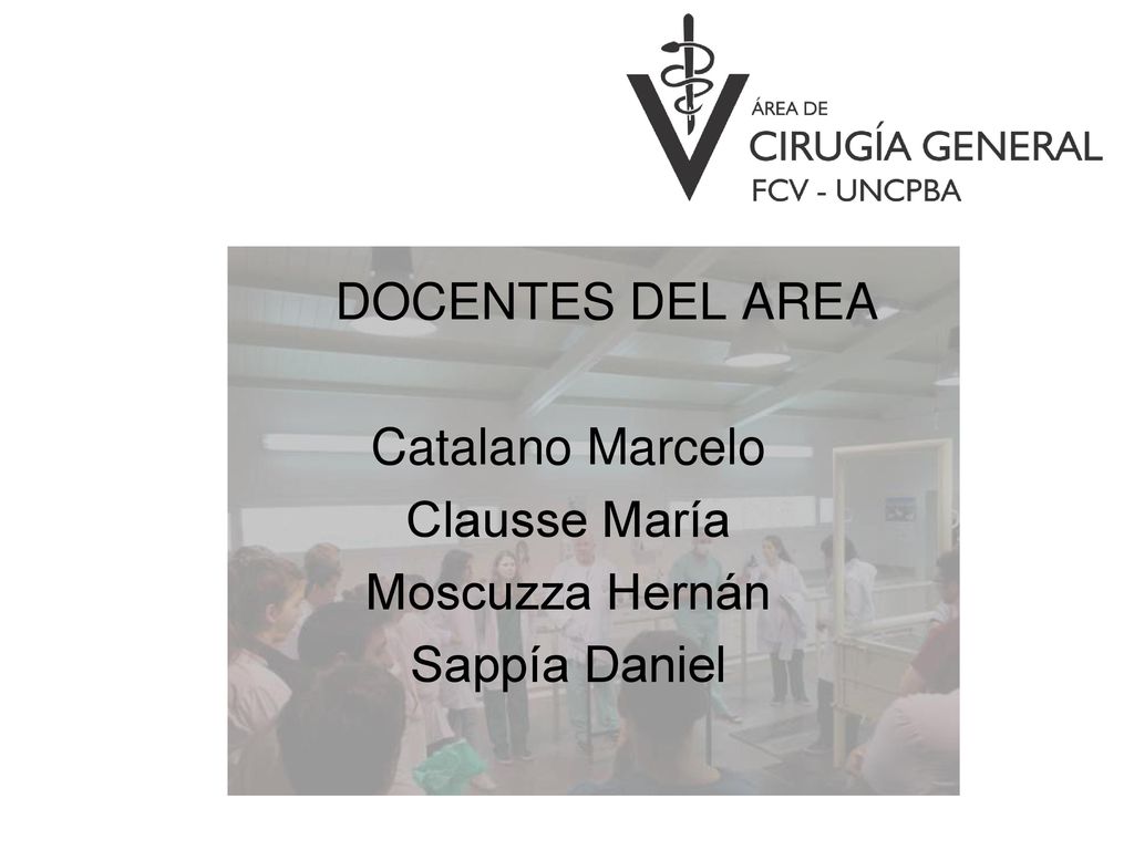DOCENTES DEL AREA Catalano Marcelo Clausse María Moscuzza Hernán Sappía Daniel