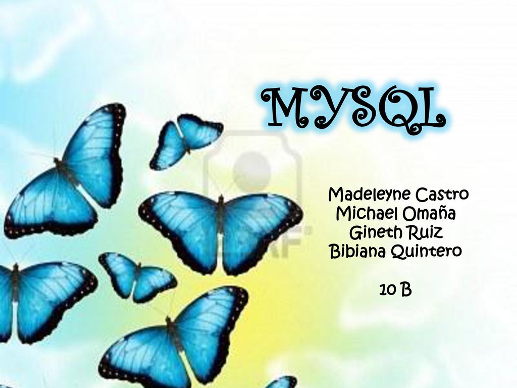 Madeleyne Castro Michael Omaña Gineth Ruiz Bibiana Quintero 10 B