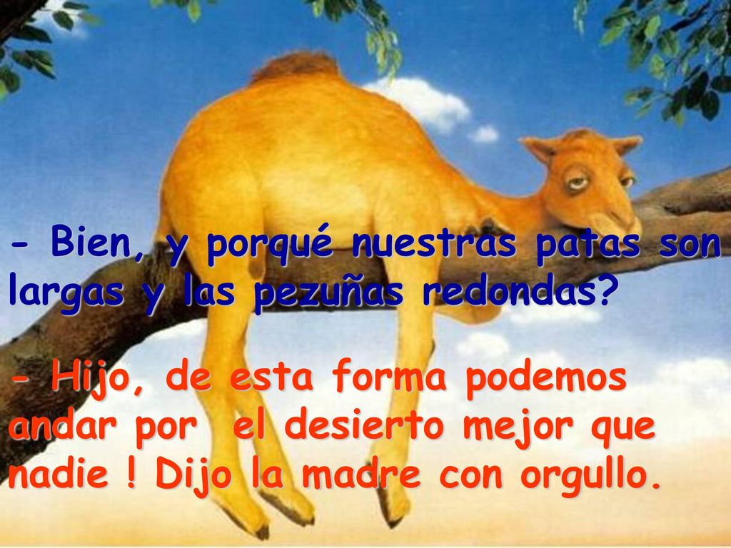 - Bien, y porqué nuestras patas son largas y las pezuñas redondas