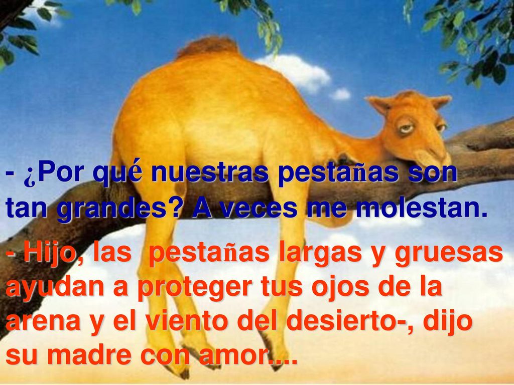 - ¿Por qué nuestras pestañas son tan grandes A veces me molestan.