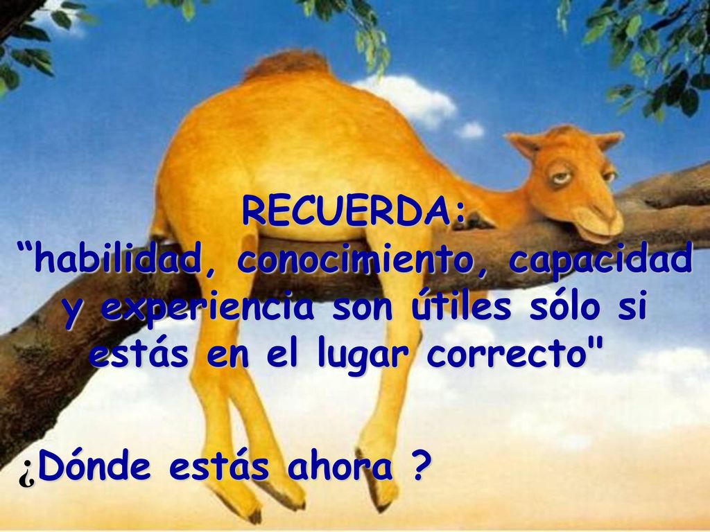 RECUERDA: habilidad, conocimiento, capacidad y experiencia son útiles sólo si estás en el lugar correcto
